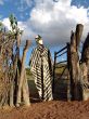 African clothes