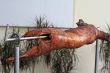 Whole roast lamb