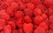 Raspberry - shallow focus 1