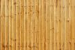 Wooden Fence - landscape