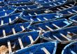 blue fishing boats in morocco