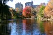 autumn in central park, new york