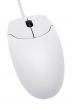 White Computer Mouse w/ Path