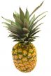 Pineapple w/ Path - Top View