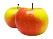 Two Red-Yellow Apples w/ Raindrops - Path Included