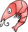 Cute shrimp