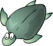 Cute turtle
