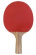 Ping Pong Paddle w/ Path