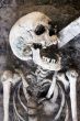 Laughing Skeleton