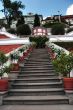 Steps leading up with potted plants