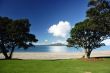 Rangitoto through the trees