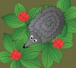 Hedgehog