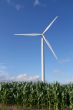 Wind turbine in a field