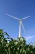 Wind turbine in a field