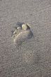 Foot print in the sand