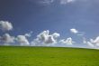 Blue sky and Green grass