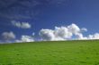 Green grass and blue sky - landscape