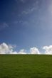 blue sky and green grass - portrait