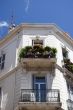 plants on balcony