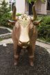 bronze cow - face view