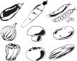 Vegetables illustration