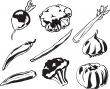 Vegetables illustration