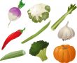 Vegetables illustration