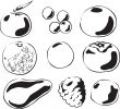 Fruits illustration
