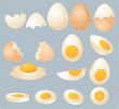 Eggs illustration