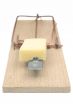 Mousetrap - Front View