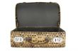 Snakeskin Bag w/ Path
