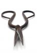 Rusty Scissors - Front View