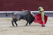 Matador