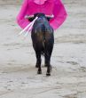 Bull and Cape