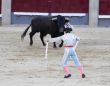 Banderillero and Bull