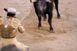 Picador