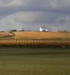 Fields in Spain