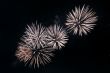 festival firework