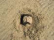 Face in the sand