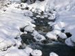Creek in winter