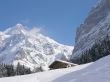 Winter landscape