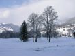Winter landscape