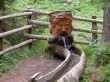 Wooden sculpture in Carinthia (Austria)