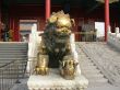 Chinese Dragon in Forbidden City (Beijing)