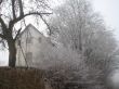 Frosty tree in front of a house
