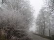 Frosty road