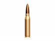 Shotgun ammo