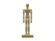 Human wood model
