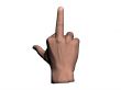 The finger