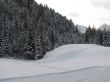 Beautiful winter landscape with trees